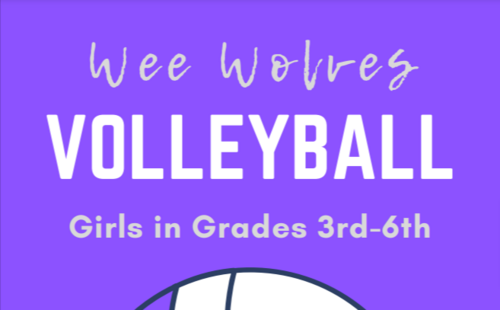 Wee Wolves Volleyball